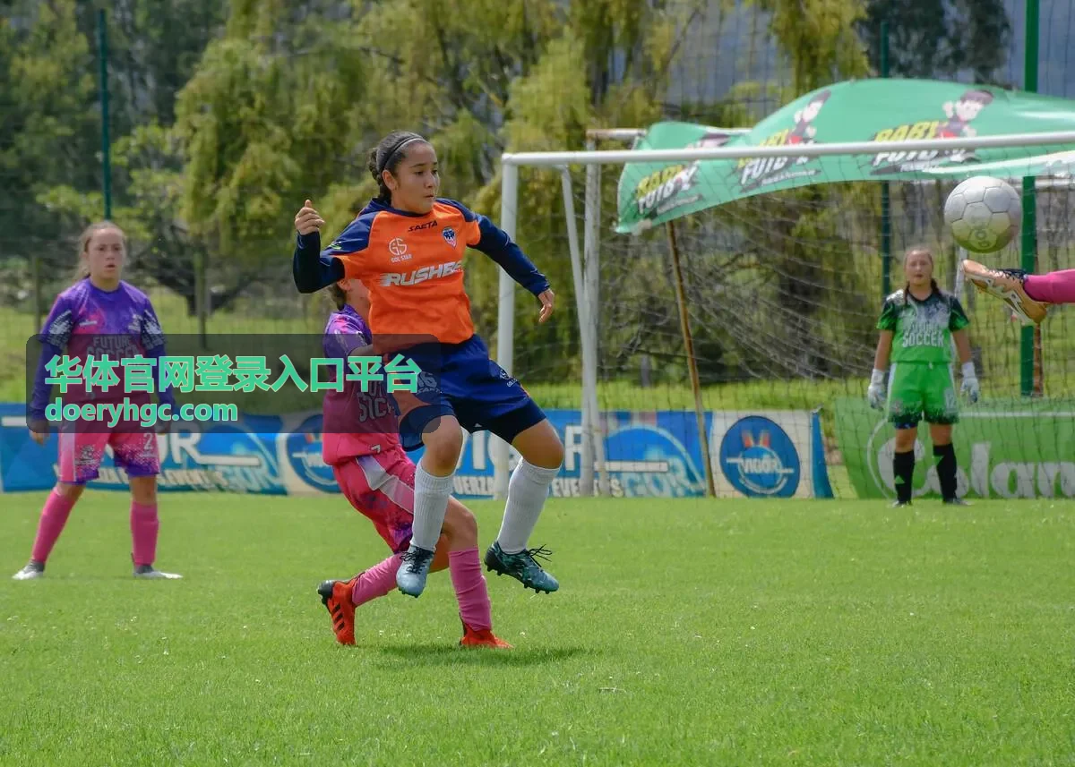 华体官网登录入口平台篮球综合馆场地