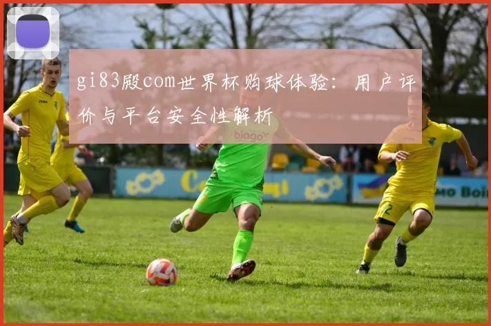 gi83殿com世界杯购球体验：用户评价与平台安全性解析