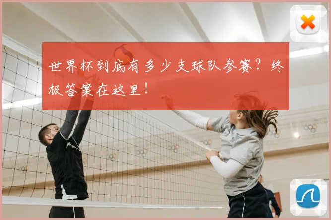 世界杯到底有多少支球队参赛？终极答案在这里！