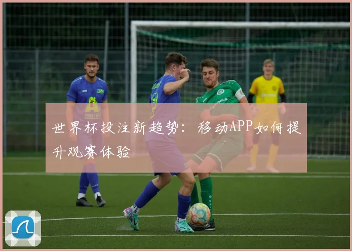 世界杯投注新趋势：移动APP如何提升观赛体验