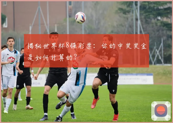 揭秘世界杯8强彩票：你的中奖奖金是如何计算的？