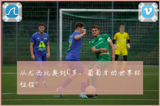 从尤西比奥到C罗，葡萄牙的世界杯征程