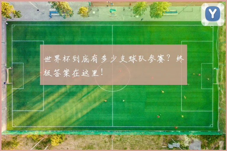 世界杯到底有多少支球队参赛？终极答案在这里！