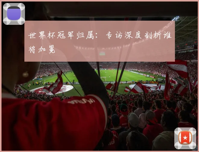 世界杯冠军归属：专访深度剖析谁将加冕