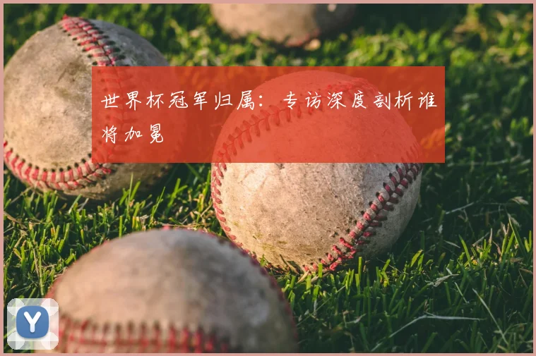 世界杯冠军归属：专访深度剖析谁将加冕