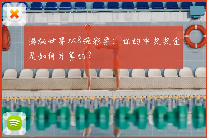 揭秘世界杯8强彩票：你的中奖奖金是如何计算的？