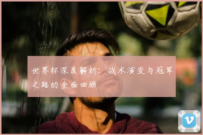 世界杯深度解析：战术演变与冠军之路的全面回顾
