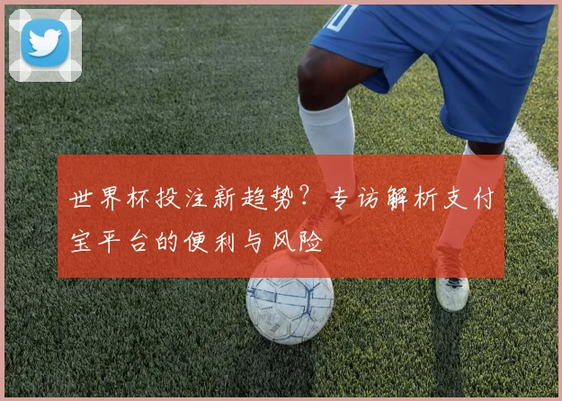 世界杯投注新趋势？专访解析支付宝平台的便利与风险
